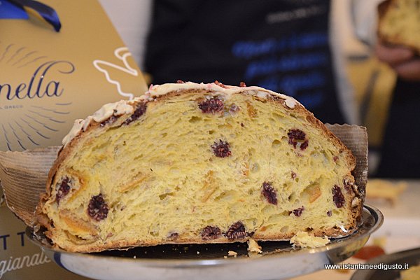 Panettone lamponi e mandarini - Pasticceria Mennella